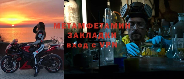 прущие грибы Новодвинск
