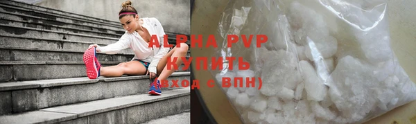 прущие грибы Новодвинск