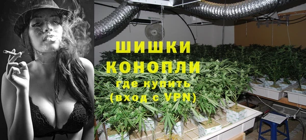 ALPHA PVP Новозыбков