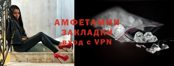 прущие грибы Новодвинск