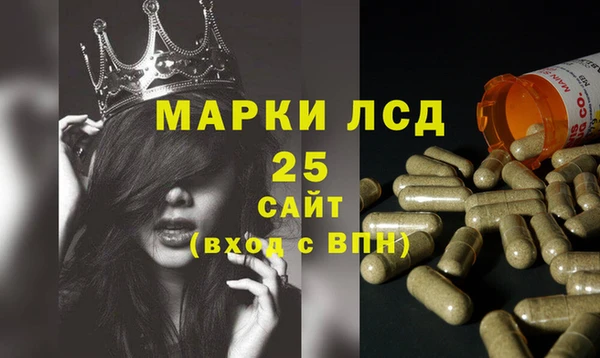 прущие грибы Новодвинск