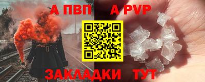 прущие грибы Гусиноозёрск