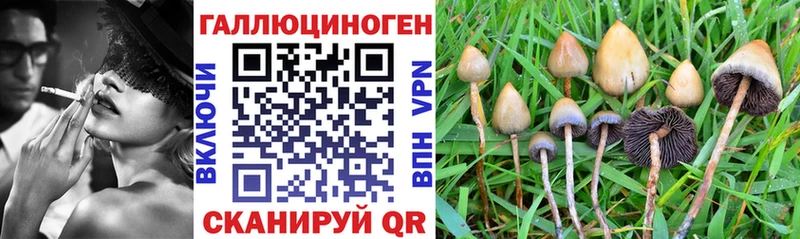 Галлюциногенные грибы Psilocybe kraken ТОР Коряжма сколько стоит
