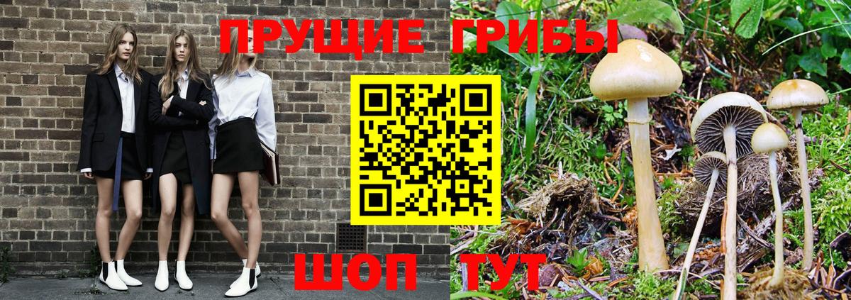 Коряжма  продажа наркотиков  Вход с VPN  Галлюциногенные грибы мухоморы  Псилоцибиновые грибы Cubensis 